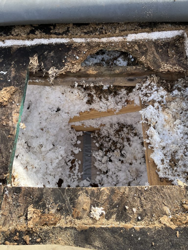 model showing projected % moisture content over 8 year period of not addressed. Over 20%, wood building material start to experience decay and potential mold growth